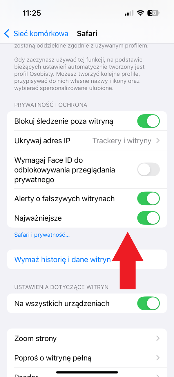 Najważniejsze w Safari