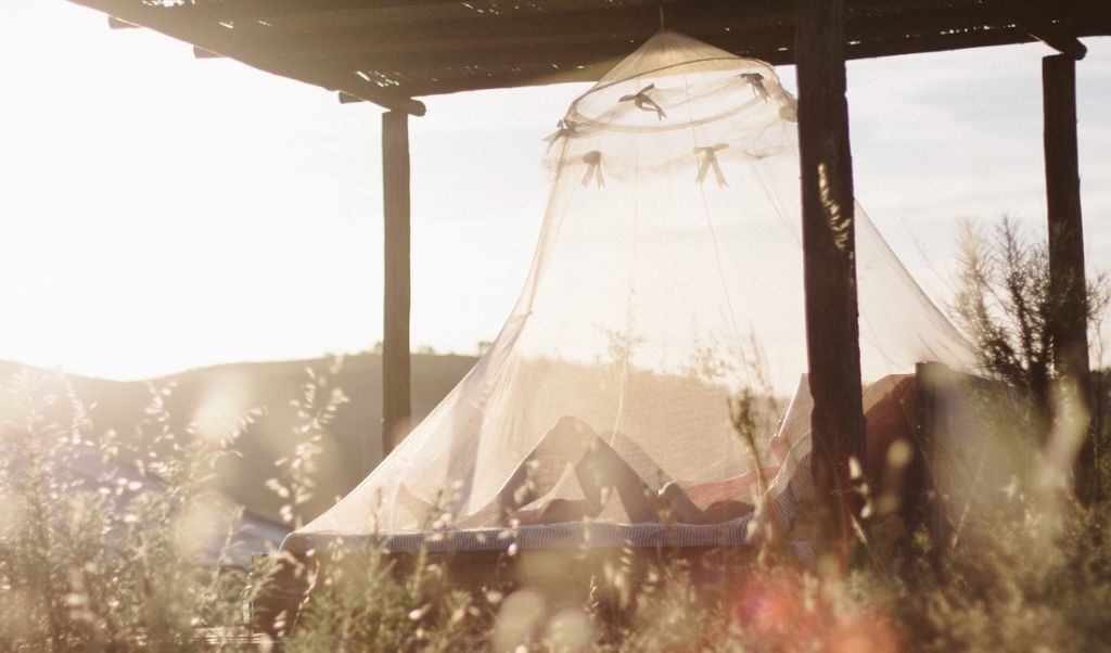 Jak odstraszyć komary? Oto najskuteczniejsze sposoby