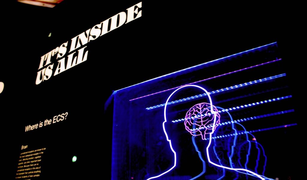 Chińczycy stworzyli urządzenie do czytania w myślach. Ma pomóc cenzurze